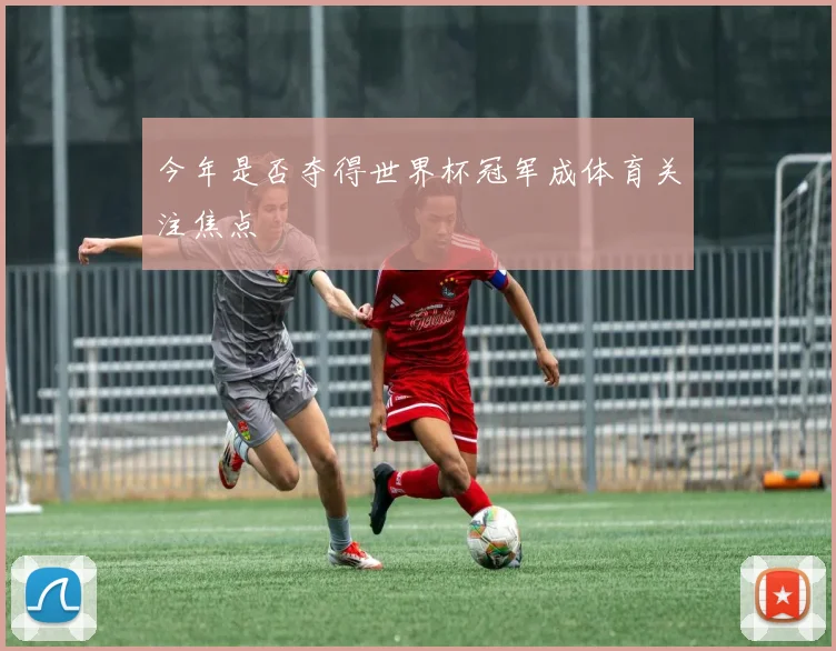 今年是否夺得世界杯冠军成体育关注焦点