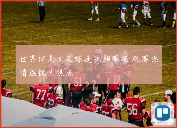 世界杯美女足球迷亮相赛场 观赛热情成镜头焦点