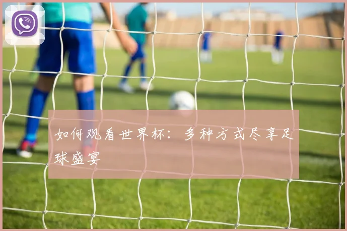 如何观看世界杯：多种方式尽享足球盛宴