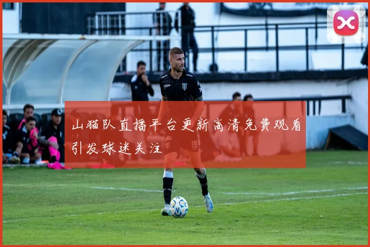 山猫队直播平台更新高清免费观看引发球迷关注